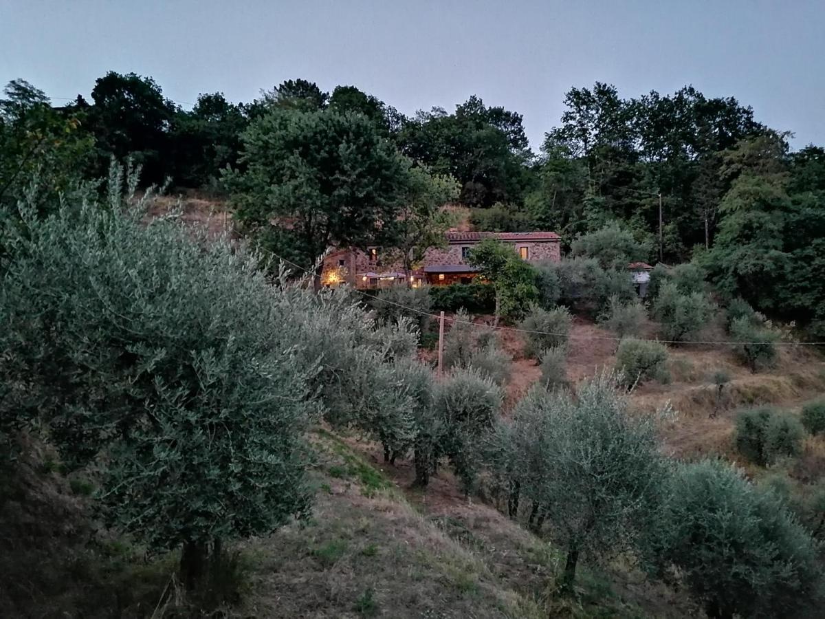 Agriturismo Tananei Marliana Exterior photo
