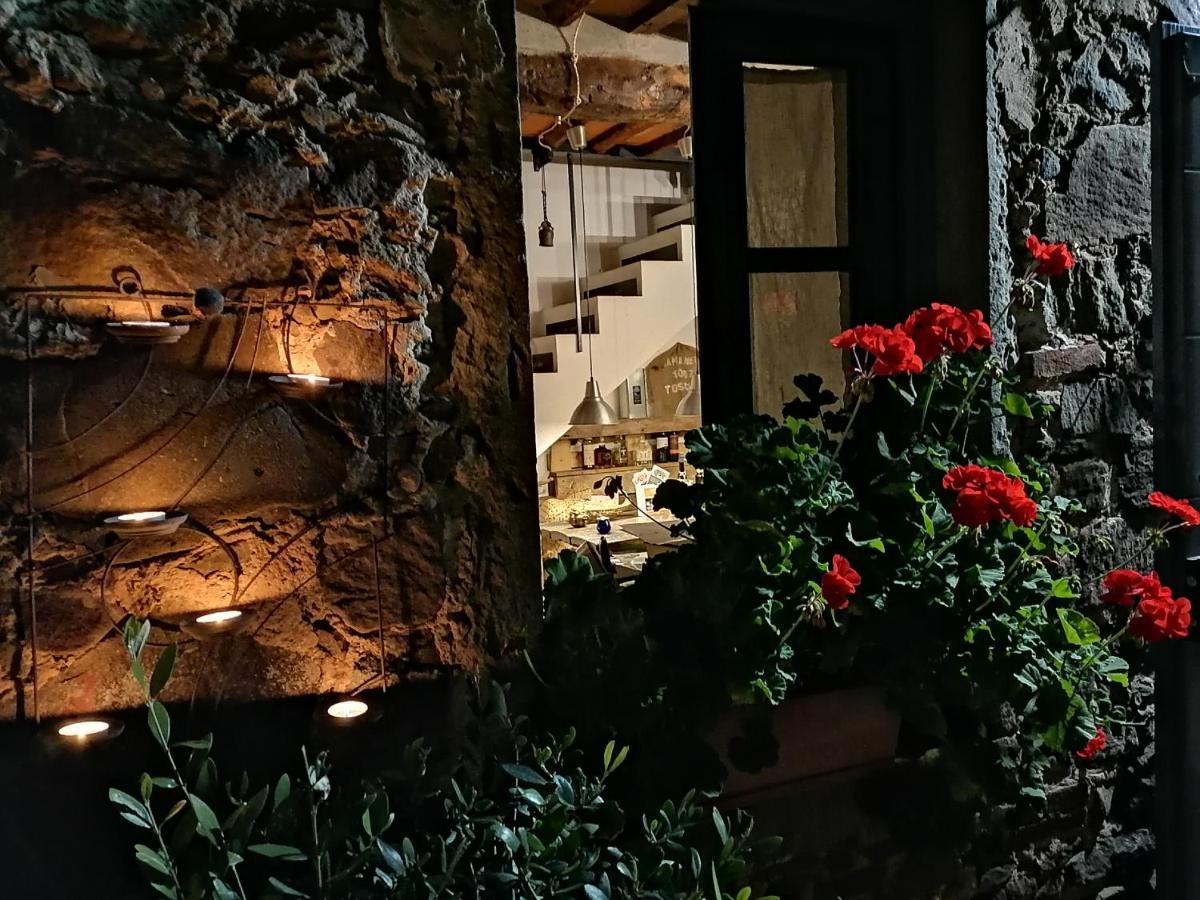 Agriturismo Tananei Marliana Exterior photo